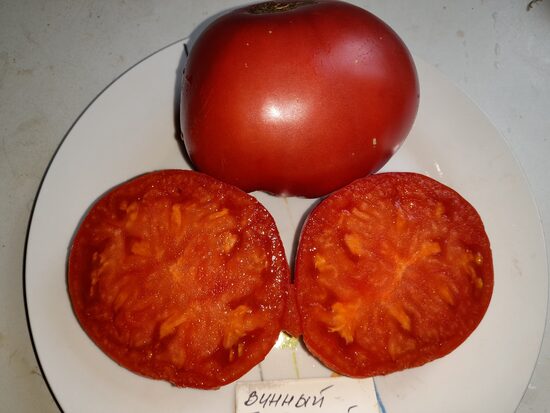 Винный Болгарский великан